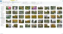 Чому фотографії завантажуються горизонтально в щоденник Як повернути фото, Brave Defender фотографії