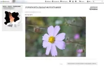 Чому фотографії завантажуються горизонтально в щоденник Як повернути фото, Brave Defender чому