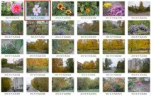 Чому фотографії завантажуються горизонтально в щоденник Як повернути фото, Brave Defender завантажуються