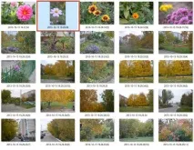 Чому фотографії завантажуються горизонтально в щоденник Як повернути фото, Brave Defender фотографії