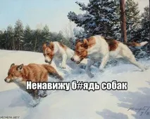 защо