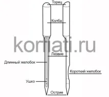 избор