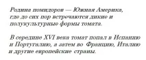 Чому помідор так називається З якої мови прийшло це слово прийшло