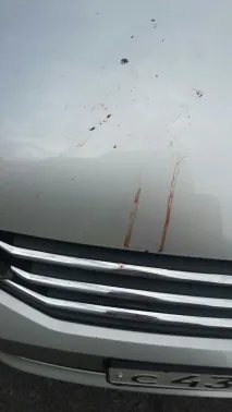 Підходиш вранці до машини ... А вона розбита і в крові ... машини