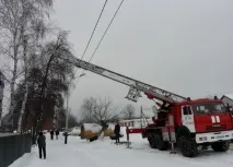 Пожежники Котовська знімали кота з дерева за допомогою 30-ти метрової лісниці знімали