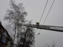 Пожежники Котовська знімали кота з дерева за допомогою 30-ти метрової лісниці знімали