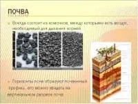 Презентації з географії - Географія - Учительський портал - Сторінка 3 географія