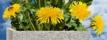 Переваги UDK Gazbeton, Фото, Відео, Посібники та посібники з газобетону посібники