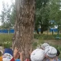 території