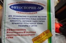 Профілактика захворювань смородини та боротьба зі шкідниками боротьба