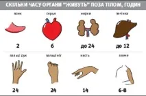 Пришиті пальці відчувають дотик через рік. пальці