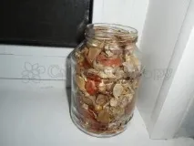 Профілактика захворювань смородини та боротьба зі шкідниками профілактика