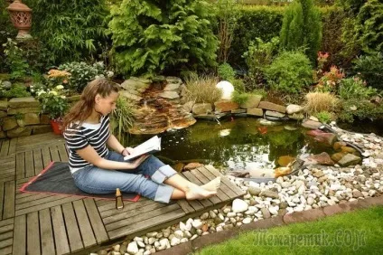 10 Самих важливих питань про водойму на ділянці (водойму) 10 Самих важливих питань про водойму на ділянці
