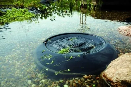 10 Самих важливих питань про водойму на ділянці (водойму) 10 Самих важливих питань про водойму на ділянці