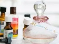 2 Рецепту, як зробити духи з бузку своїми руками, жіночий клуб (духи з бузку) 2 Рецепту, як зробити духи з бузку своїми руками, жіночий клуб