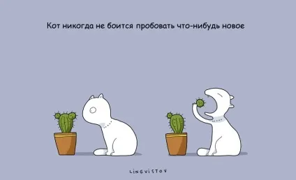 21 Перевага мати кота