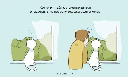 21 Перевага мати кота