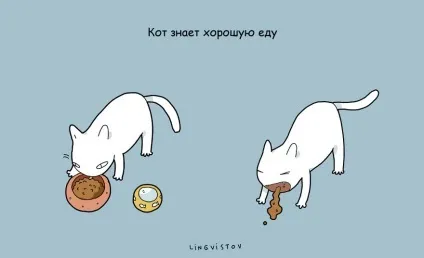 21 Перевага мати кота