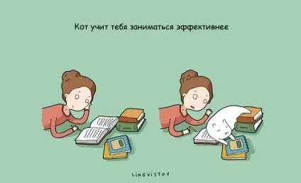 21 Перевага мати кота