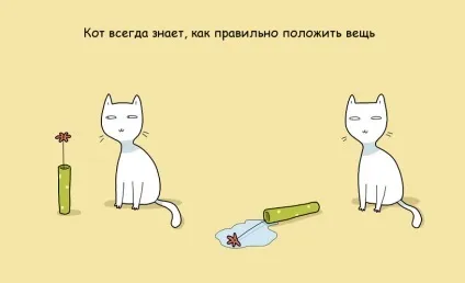 21 Перевага мати кота