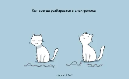 21 Перевага мати кота