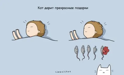 21 Перевага мати кота