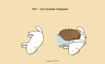 21 Перевага мати кота