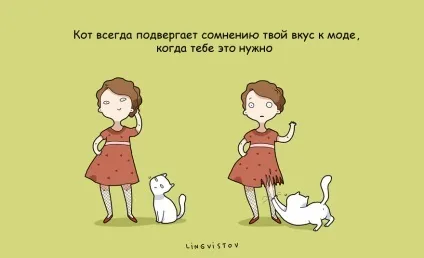21 Перевага мати кота