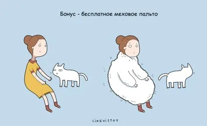 21 Перевага мати кота