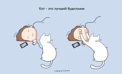 21 Перевага мати кота