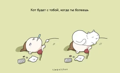 21 Перевага мати кота