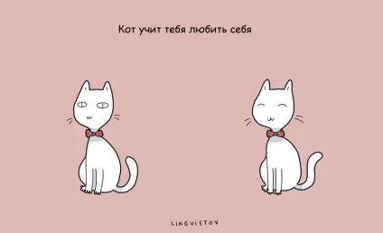 21 Перевага мати кота