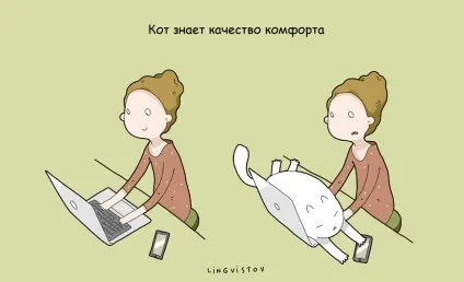 21 Перевага мати кота