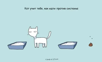 21 Перевага мати кота