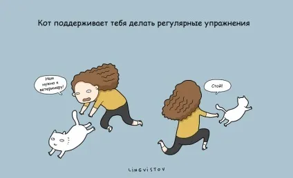 21 Перевага мати кота