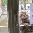 А чого нас боятися