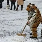 А чого нас боятися