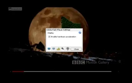 Adobe flash player завантажити безкоштовно, докладний опис програми (flash) Adobe flash player завантажити безкоштовно, докладний опис програми