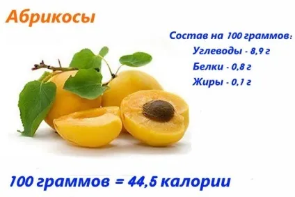 Абрикоси - користь і шкода для здоров'я, калорійність, вживання при вагітності, грудному (користь) Абрикоси - користь і шкода для здоров'я, калорійність, вживання при вагітності, грудному