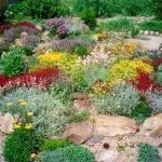 Альпійська гірка своїми руками з покроковою інструкцією і фото ідеї (альпійська) Альпійська гірка своїми руками з покроковою інструкцією і фото ідеї