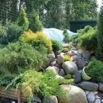 Альпійська гірка своїми руками з покроковою інструкцією і фото ідеї (руками) Альпійська гірка своїми руками з покроковою інструкцією і фото ідеї