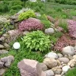 Альпійська гірка своїми руками з покроковою інструкцією і фото ідеї (своїми) Альпійська гірка своїми руками з покроковою інструкцією і фото ідеї