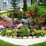 Альпійська гірка своїми руками з покроковою інструкцією і фото ідеї (своїми) Альпійська гірка своїми руками з покроковою інструкцією і фото ідеї