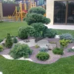 Альпійська гірка своїми руками з покроковою інструкцією і фото ідеї (гірка) Альпійська гірка своїми руками з покроковою інструкцією і фото ідеї