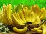 Ананас - це фрукт або ягода корисні його свойст, martcom - концентровані соки, овочеві і (ананас) Ананас - це фрукт або ягода корисні його свойст, martcom - концентровані соки, овочеві та