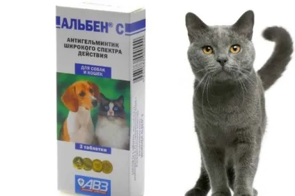 Альбен з для кішок основні характеристики препарату (основні) Альбен з для кішок основні характеристики препарату