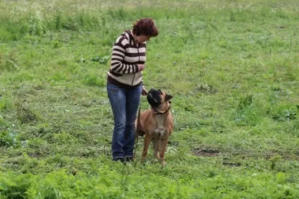 Акорд - centerdog - готель для тварин (корекція поведінки) Акорд - centerdog - готель для тварин