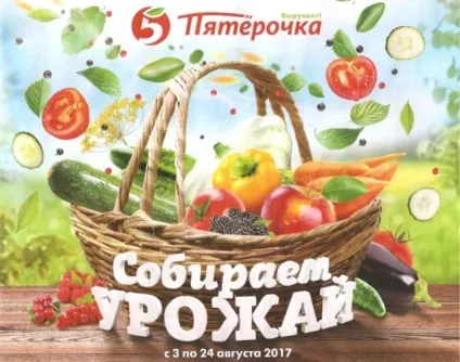 Акції в магазині п'ятірочка з 8 серпня 2017 каталог що цікавого