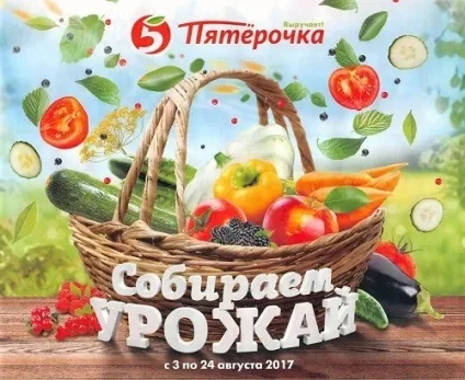 Акції в магазині п'ятірочка з 8 серпня 2017 каталог що цікавого