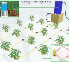 Автополив в теплиці своїми руками системи і рішення (теплиці) Автополив в теплиці своїми руками системи і рішення